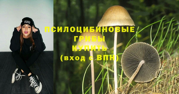 трава Беломорск