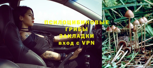 MDMA Белокуриха