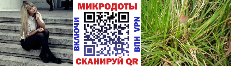 Галлюциногенные грибы ЛСД кракен ССЫЛКА Белореченск